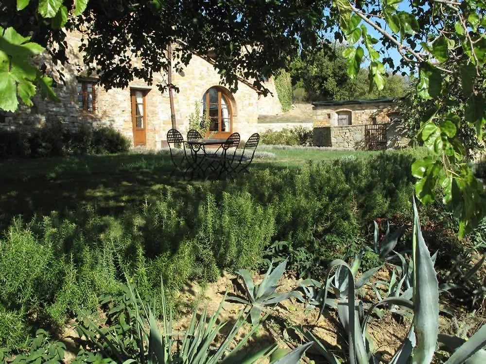 Apartment Lavanda 2 Mit Veranda San Donato in Poggio
